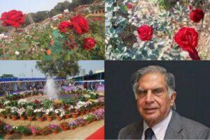 Flower Show 2025: रतन टाटा के नाम पर खिलेगा गुलाब, फ्लावर शो में लोग कर सकेंगे दीदार