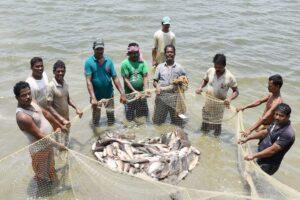 Bihar Fish Farming: बिहार के मछली पालकों की बड़ी टेंशन सरकार ने कर दी खत्म, इतने लाख रुपये की मिलेगी मदद