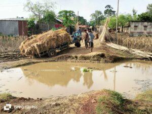 दियारा क्षेत्र में फिर बढ़ने लगा जलस्तर, मुख्य सड़क कटने से टूटा कनेक्शन