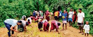 Chaibasa News : गांव की कच्ची सड़क पर धान रोपकर ग्रामीणों ने किया विरोध