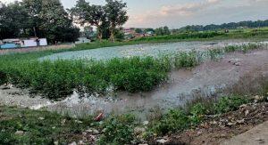Jharkhand News: दादा धो रहे थे बाइक, तालाब में डूबने से 8 साल के पोते की मौत, पानी में डूबने से दो और की गयी जान