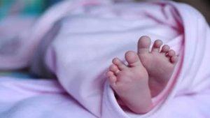 Bihar News: अररिया में 7 साल के मासूम की गला दबाकर हत्या, मकई के खेत में मिली लाश