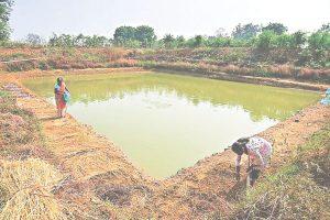 ओडिशा में किसानों के लिए वरदान बनी खेत तालाब योजना, भू-जल स्तर नियंत्रित करने और मिट्टी संरक्षण में मददगार