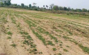 Bihar Land Survey: जमीन सर्वेक्षण के सभी काम जल्द होंगे ऑनलाइन, विशेष भूमि सर्वेक्षण को लेकर बड़ा अपडेट