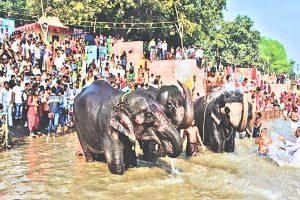 Sonepur Mela: सोनपुर मेले में इस बार क्या है खास? जानिए मनोरंजन से लेकर सांस्कृतिक कार्यक्रमों तक क्या हैं तैयारियां