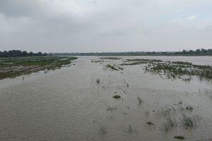 Bihar News: बागमती नदी के बढ़ते जलस्तर ने बढ़ाई चिंता, बाढ़ नियंत्रण को कमेटी गठित