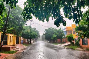 Bihar Monsoon Update: पूर्णिया-किशनगंज के रास्ते बिहार में मानसून की एंट्री, 18 जिलों में भयंकर बारिश का अलर्ट