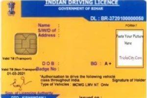 Driving License: DL बनवाने में बिहार के इस जिला की महिलाएं टॉप पर, मुजफ्फरपुर दूसरे स्थान पर