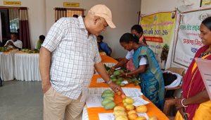 Chaibasa News : चक्रधरपुर में आम उत्सव सह बागवानी मेला का आयोजन, बीडीओ ने कहा