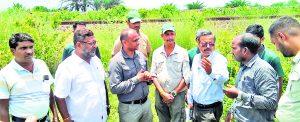 Chaibasa News : हाथियों की जान बचाने के लिए चक्रधरपुर रेल मंडल में लगा आइडीएस सिस्टम