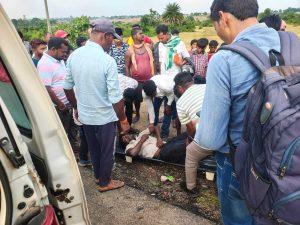 Giridih News :सड़क दुर्घटना में एक घायल