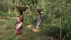 Ranchi news : वन अधिकार अधिनियम के मामलों को मंजूरी देने में झारखंड देश में चौथे नंबर पर