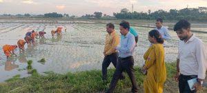मोटे अनाज की खेती से आमदनी तीनों को मिलेगा संबल