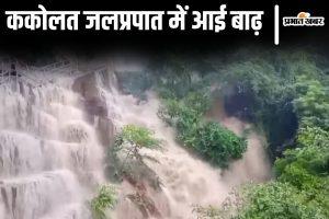 Bihar Flood: ककोलत जलप्रपात में अचानक आई बाढ़, प्रशासन ने लगाया पर्यटकों की एंट्री पर रोक