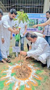 kaimur  News : अपने नाम पर लगाये गये पौधों को भी नहीं बचा पाये मंत्री व अधिकारी