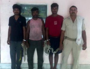 सूर्यगढ़ा बाजार से तीन शराबी गिरफ्तार