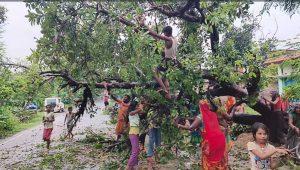 बारिश के कारण आम जनजीवन प्रभावित, सड़क पर गिरा पेड़