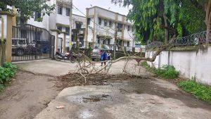 सड़क पर पेड़ की टहनी गिरने से यातायात बाधित
