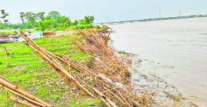 Gopalganj News  : बारिश थमने के बाद भी बैकुंठपुर में खतरे के निशान के करीब पहुंची गंडक नदी