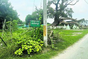 Gopalganj News  : सिधवलिया में स्वर्गवासी के नाम पर राजस्व कर्मी और सीआइ की रिपोर्ट पर सीओ ने की जमाबंदी
