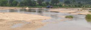 Giridih News: एनजीटी की रोक के बाद भी बालू उठाव धड़ल्ले से जारी