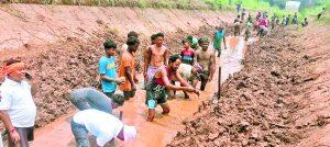 Chaibasa News : किसानों ने श्रमदान कर नहर की सफाई की