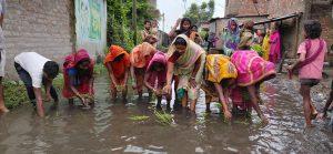 जलजमाव से परेशान ग्रामीणों ने सड़क पर की धनरोपनी