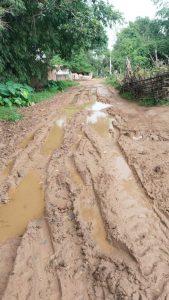 Giridih News: जरीडीह से लंगूरडीहा को जोड़नेवाली सड़क बदहाल, परेशानी